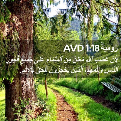 Picture 02 - رُومِيَةَ 1:18 AVD - لِأَنَّ غَضَبَ ٱللهِ - Bible Verse Picture