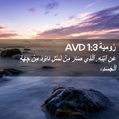 Picture 02 - رُومِيَةَ 1:3 AVD - عَنِ ٱبْنِهِ. ٱلَّذِي - Bible Verse Picture