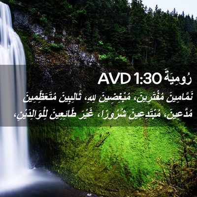 Picture 02 - رُومِيَةَ 1:30 AVD - نَمَّامِينَ مُفْتَرِينَ، - Bible Verse Picture