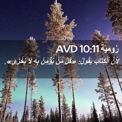 Picture 02 - رُومِيَةَ 10:11 AVD - لِأَنَّ ٱلْكِتَابَ - Bible Verse Picture