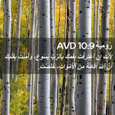 Picture 02 - رُومِيَةَ 10:9 AVD - لِأَنَّكَ إِنِ - Bible Verse Picture