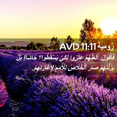 Picture 02 - رُومِيَةَ 11:11 AVD - فَأَقُولُ: أَلَعَلَّهُمْ - Bible Verse Picture