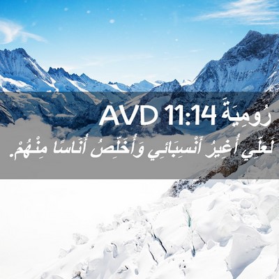 Picture 02 - رُومِيَةَ 11:14 AVD - لَعَلِّي أُغِيرُ - Bible Verse Picture