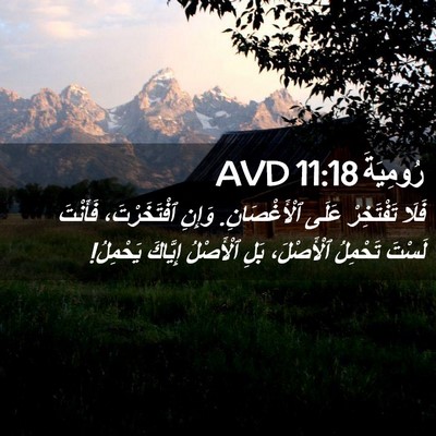 Picture 02 - رُومِيَةَ 11:18 AVD - فَلَا تَفْتَخِرْ عَلَى - Bible Verse Picture