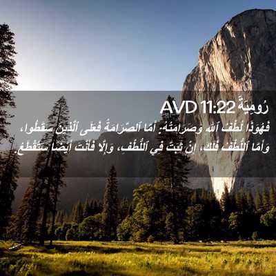 Picture 02 - رُومِيَةَ 11:22 AVD - فَهُوَذَا لُطْفُ ٱللهِ - Bible Verse Picture