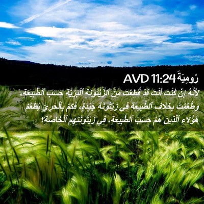 Picture 02 - رُومِيَةَ 11:24 AVD - لِأَنَّهُ إِنْ كُنْتَ - Bible Verse Picture