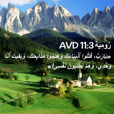 Picture 02 - رُومِيَةَ 11:3 AVD - «يَارَبُّ، قَتَلُوا - Bible Verse Picture