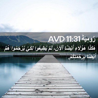 Picture 02 - رُومِيَةَ 11:31 AVD - هَكَذَا هَؤُلَاءِ أَيْضًا - Bible Verse Picture