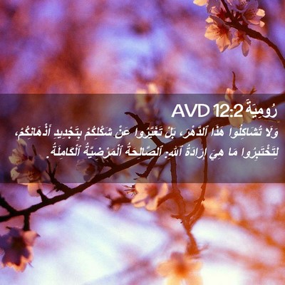Picture 02 - رُومِيَةَ 12:2 AVD - وَلَا تُشَاكِلُوا هَذَا - Bible Verse Picture