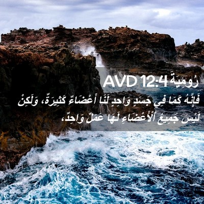 Picture 02 - رُومِيَةَ 12:4 AVD - فَإِنَّهُ كَمَا فِي جَسَدٍ - Bible Verse Picture