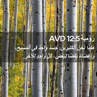 Picture 02 - رُومِيَةَ 12:5 AVD - هَكَذَا نَحْنُ - Bible Verse Picture