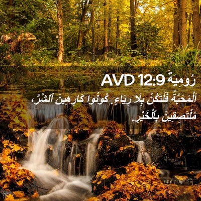 Picture 02 - رُومِيَةَ 12:9 AVD - اَلْمَحَبَّةُ فَلْتَكُنْ - Bible Verse Picture
