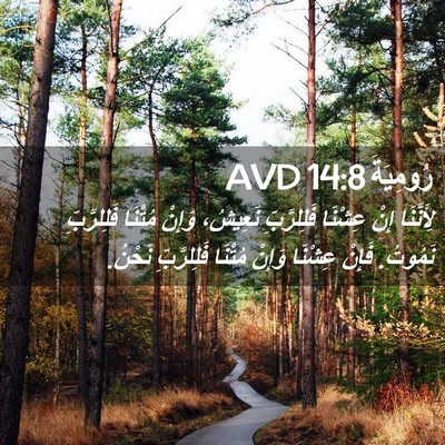 Picture 02 - رُومِيَةَ 14:8 AVD - لِأَنَّنَا إِنْ عِشْنَا - Bible Verse Picture