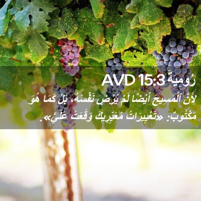 Picture 02 - رُومِيَةَ 15:3 AVD - لِأَنَّ ٱلْمَسِيحَ - Bible Verse Picture