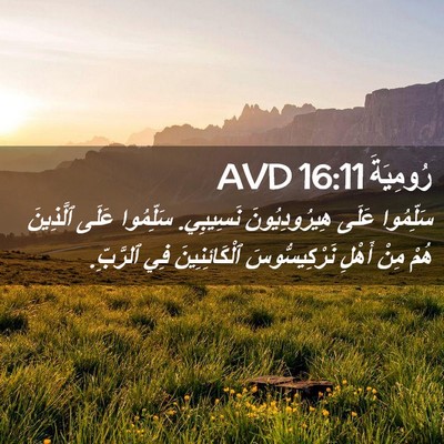Picture 02 - رُومِيَةَ 16:11 AVD - سَلِّمُوا عَلَى - Bible Verse Picture