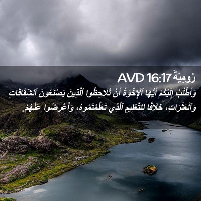 Picture 02 - رُومِيَةَ 16:17 AVD - وَأَطْلُبُ إِلَيْكُمْ - Bible Verse Picture