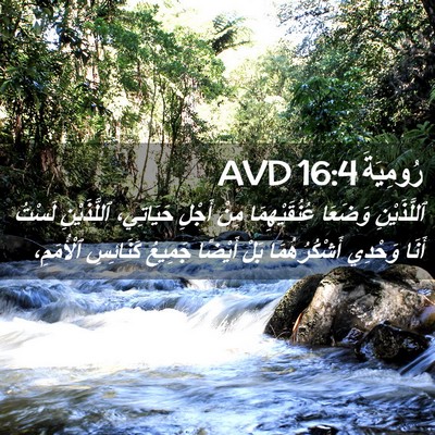 Picture 02 - رُومِيَةَ 16:4 AVD - ٱللَّذَيْنِ وَضَعَا - Bible Verse Picture