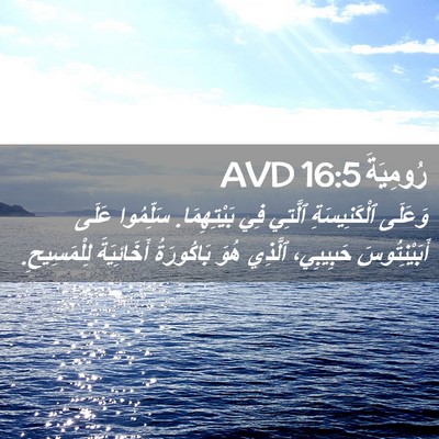 Picture 02 - رُومِيَةَ 16:5 AVD - وَعَلَى ٱلْكَنِيسَةِ - Bible Verse Picture