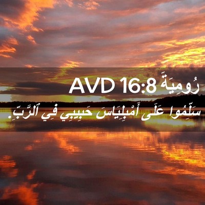Picture 02 - رُومِيَةَ 16:8 AVD - سَلِّمُوا عَلَى - Bible Verse Picture