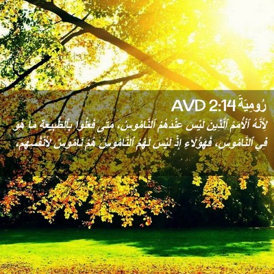 Picture 02 - رُومِيَةَ 2:14 AVD - لِأَنَّهُ ٱلْأُمَمُ - Bible Verse Picture