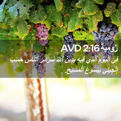 Picture 02 - رُومِيَةَ 2:16 AVD - فِي ٱلْيَوْمِ ٱلَّذِي - Bible Verse Picture