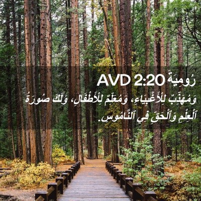 Picture 02 - رُومِيَةَ 2:20 AVD - وَمُهَذِّبٌ - Bible Verse Picture