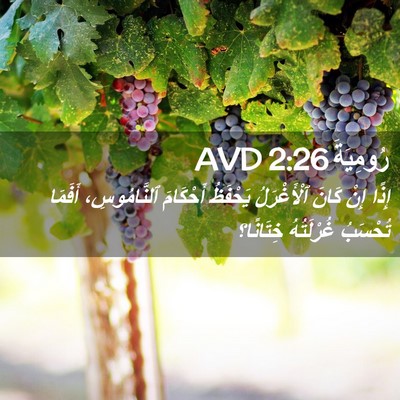 Picture 02 - رُومِيَةَ 2:26 AVD - إِذًا إِنْ كَانَ - Bible Verse Picture