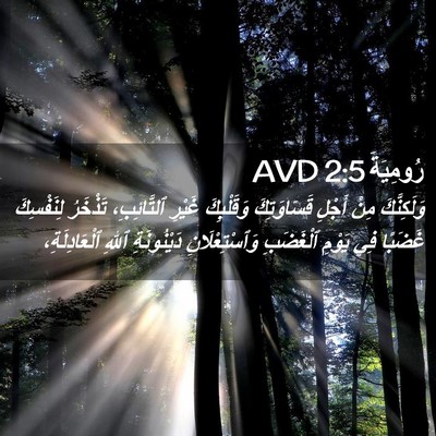 Picture 02 - رُومِيَةَ 2:5 AVD - وَلَكِنَّكَ مِنْ أَجْلِ - Bible Verse Picture
