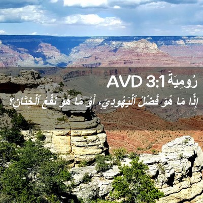 Picture 02 - رُومِيَةَ 3:1 AVD - إِذًا مَا هُوَ فَضْلُ - Bible Verse Picture