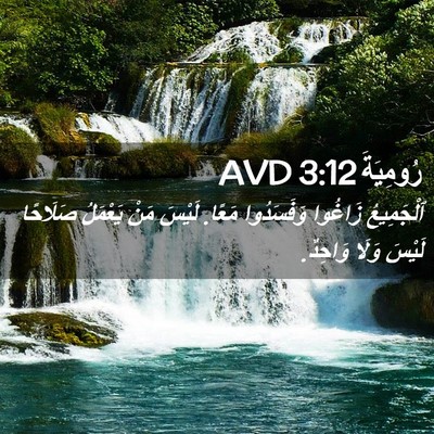 Picture 02 - رُومِيَةَ 3:12 AVD - ٱلْجَمِيعُ زَاغُوا - Bible Verse Picture