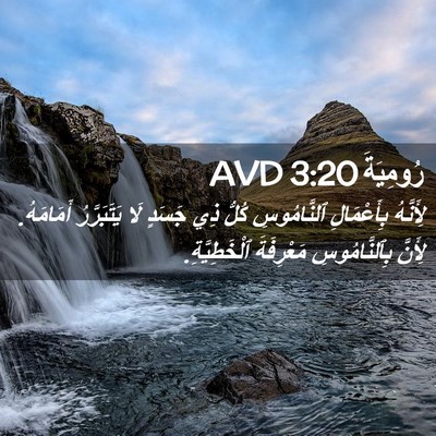Picture 02 - رُومِيَةَ 3:20 AVD - لِأَنَّهُ بِأَعْمَالِ - Bible Verse Picture