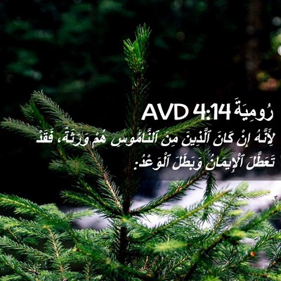 Picture 02 - رُومِيَةَ 4:14 AVD - لِأَنَّهُ إِنْ كَانَ - Bible Verse Picture