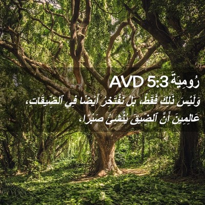Picture 02 - رُومِيَةَ 5:3 AVD - وَلَيْسَ ذَلِكَ فَقَطْ، - Bible Verse Picture
