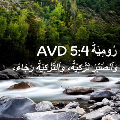 Picture 02 - رُومِيَةَ 5:4 AVD - وَٱلصَّبْرُ تَزْكِيَةً، - Bible Verse Picture