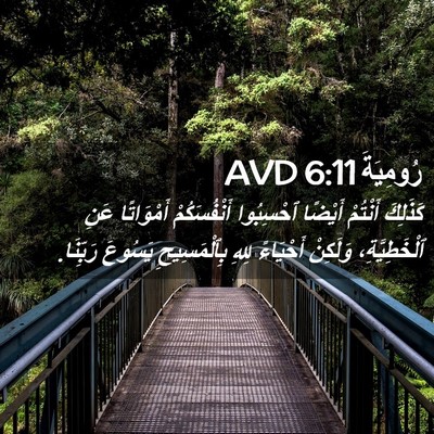 Picture 02 - رُومِيَةَ 6:11 AVD - كَذَلِكَ أَنْتُمْ أَيْضًا - Bible Verse Picture