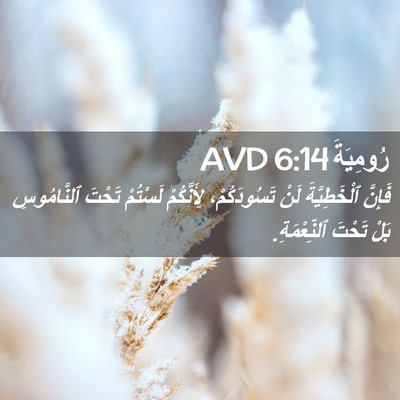 Picture 02 - رُومِيَةَ 6:14 AVD - فَإِنَّ ٱلْخَطِيَّةَ لَنْ - Bible Verse Picture