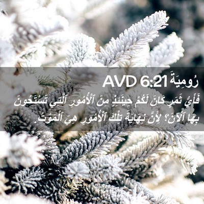 Picture 02 - رُومِيَةَ 6:21 AVD - فَأَيُّ ثَمَرٍ كَانَ - Bible Verse Picture
