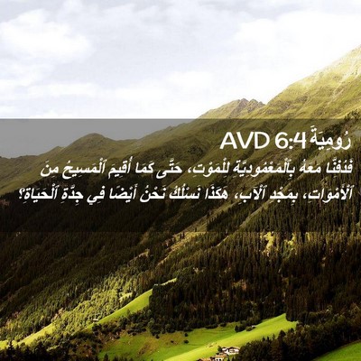 Picture 02 - رُومِيَةَ 6:4 AVD - فَدُفِنَّا مَعَهُ - Bible Verse Picture