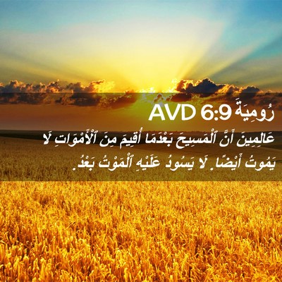 Picture 02 - رُومِيَةَ 6:9 AVD - عَالِمِينَ أَنَّ - Bible Verse Picture
