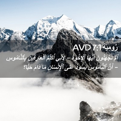 Picture 02 - رُومِيَةَ 7:1 AVD - أَمْ تَجْهَلُونَ أَيُّهَا - Bible Verse Picture