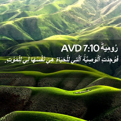 Picture 02 - رُومِيَةَ 7:10 AVD - فَوُجِدَتِ ٱلْوَصِيَّةُ - Bible Verse Picture
