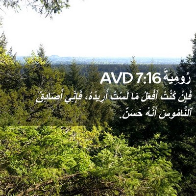 Picture 02 - رُومِيَةَ 7:16 AVD - فَإِنْ كُنْتُ أَفْعَلُ مَا - Bible Verse Picture