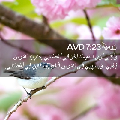 Picture 02 - رُومِيَةَ 7:23 AVD - وَلَكِنِّي أَرَى - Bible Verse Picture