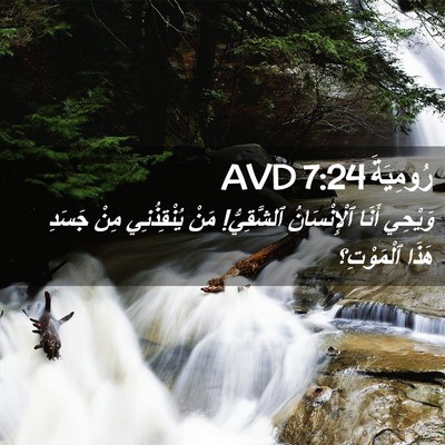 Picture 02 - رُومِيَةَ 7:24 AVD - وَيْحِي أَنَا - Bible Verse Picture