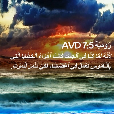 Picture 02 - رُومِيَةَ 7:5 AVD - لِأَنَّهُ لَمَّا كُنَّا - Bible Verse Picture