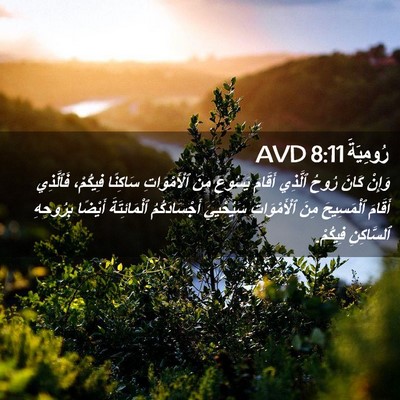 Picture 02 - رُومِيَةَ 8:11 AVD - وَإِنْ كَانَ رُوحُ ٱلَّذِي - Bible Verse Picture