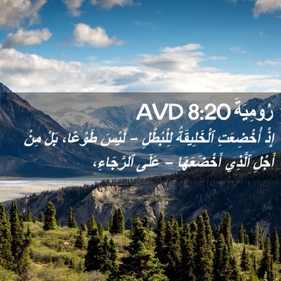 Picture 02 - رُومِيَةَ 8:20 AVD - إِذْ أُخْضِعَتِ - Bible Verse Picture