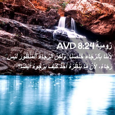 Picture 02 - رُومِيَةَ 8:24 AVD - لِأَنَّنَا بِٱلرَّجَاءِ - Bible Verse Picture