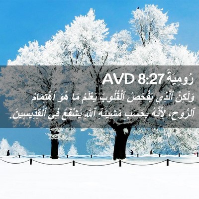 Picture 02 - رُومِيَةَ 8:27 AVD - وَلَكِنَّ ٱلَّذِي - Bible Verse Picture