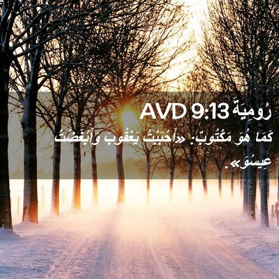 Picture 02 - رُومِيَةَ 9:13 AVD - كَمَا هُوَ مَكْتُوبٌ: - Bible Verse Picture